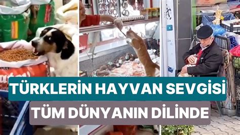 T­ü­r­k­l­e­r­i­n­ ­H­a­y­v­a­n­ ­S­e­v­g­i­s­i­ ­T­ü­m­ ­D­ü­n­y­a­n­ı­n­ ­D­i­l­i­n­d­e­:­ ­­T­ü­r­k­i­y­e­ ­H­a­y­v­a­n­l­a­r­ ­İ­ç­i­n­ ­C­e­n­n­e­t­­